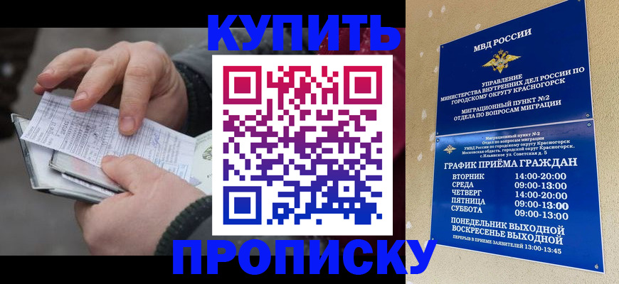 временная регистрация недорого в Стародубе